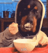 a person wearing a hoodie is eating cereal with a spoon .