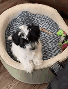 Sit Back Relax GIF - Sit Back Relax Puppy GIFs
