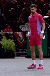 Novak Djokovic Shake A Leg GIF - Novak Djokovic Shake A Leg Tennis GIFs