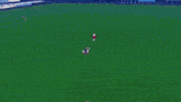a soccer field with a banner that says u-zo japan
