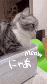 a cat is sitting in a plastic container with meow written on it