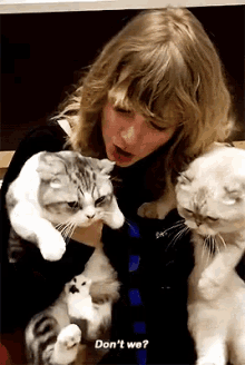 taylor swift donte cats
