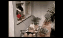 Threes Company Suzanne Somers GIF - Threes Company Suzanne Somers GIFs