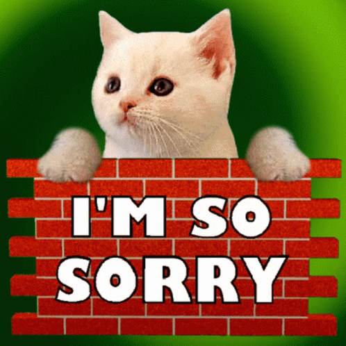 Im So Sorry Im Sorry GIF - Im So Sorry Im Sorry I Am Sorry ...