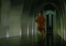 a blurry picture of a lion standing in a dark room