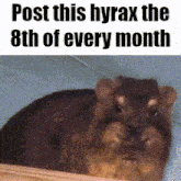 a picture of a hamster with the words post this hyrax the 8th of every month