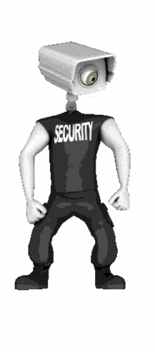 camera security