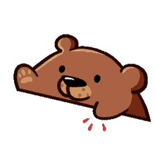 bear bongo excited drum roll