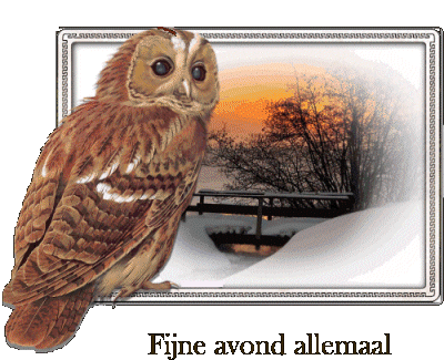 Fijne Avond Allemaal Dutch Sticker - Fijne Avond Allemaal Dutch Have A Good Evening Stickers