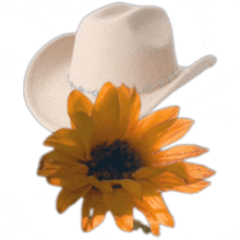 a white cowboy hat with a sunflower in front of it