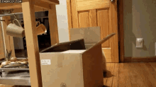 Cat In A Box Cats GIF - Cat In A Box Cats Quick Hide GIFs