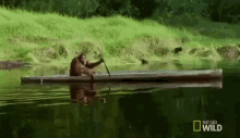 Monkey Rowing Boat GIF