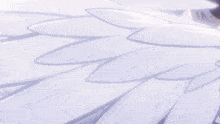 a close up of a white feathered object