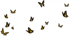 butterflies flying insects bugs kaleidoscope