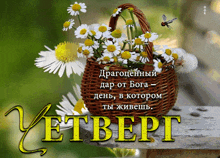 a wicker basket filled with daisies sits on a wooden table with the words " etbert " in yellow letters