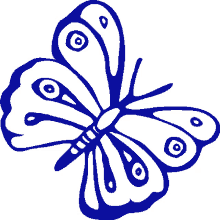 cyprus butterfly