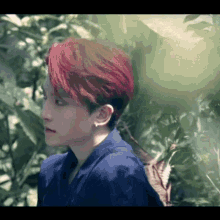 Great Guys Parrot GIF - Great Guys Parrot Kpop GIFs