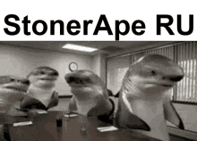 Stoner Ape GIF - Stoner Ape GIFs