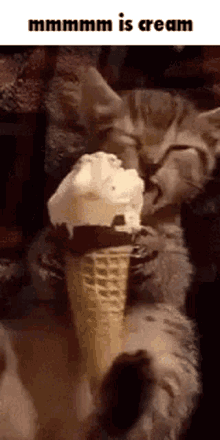 mmm mmmm mmmmm naomi ice cream
