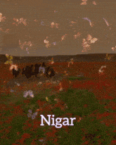 Nigar GIF - Nigar GIFs