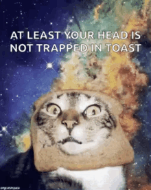 Space Cat Toast Cat GIF - Space Cat Toast Cat GIFs