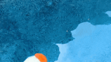 a person is swimming in a pool wearing a santa hat .