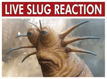 Live Slug GIF - Live Slug Reaction GIFs