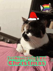 a calico cat wearing a santa hat with the words lesbian catz love christmas written below it