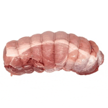 a close up of a rolled up piece of meat on a white background .