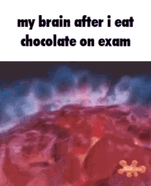 brain chocolate exam my brain after i eat chocolate on exam winkree