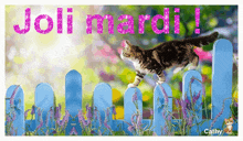 a cat jumping over a blue fence with the words joli mardi in pink