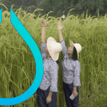 Hyprland Rice GIF - Hyprland Rice Field GIFs