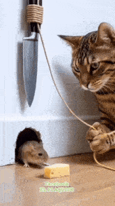 a cat is playing with a mouse with a piece of cheese and a knife hanging from the wall