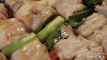 a close up of food on a grill with the words made in animotica visible