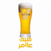 sp%C3%A9ciale sp%C3%A9ciale original beer bi%C3%A8re marocaine fso