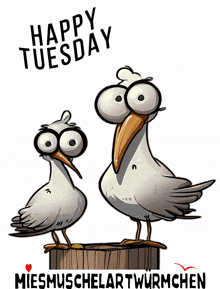 a cartoon of two seagulls standing on a barrel with the words happy tuesday written above them
