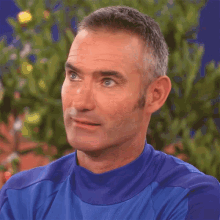 What Anthony Wiggle GIF - What Anthony Wiggle The Wiggles GIFs