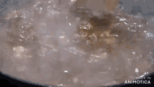 a wooden spoon is stirring a pot of boiling water with the words made in animotica on the bottom