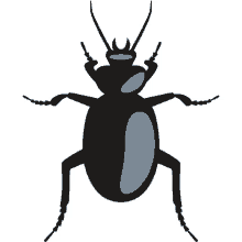 beetle halloween party joypixels insect bug