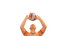 volleyball volleybal
