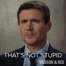 Thats Not Stupid Charlie Hudson GIF - Thats Not Stupid Charlie Hudson Hudson And Rex GIFs