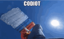 Codiot Codiot Edenas GIF - Codiot Codiot Edenas Nexes GIFs