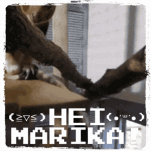 Marika Hei Marika GIF - Marika Hei Marika Hello GIFs
