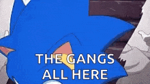 a cartoon of sonic the hedgehog saying `` the gangs all here ''