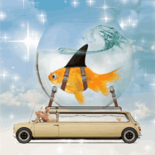 Goldfish On The Road GIF - Goldfish On The Road On The Road Again GIFs