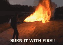 Burn It With Fire!! GIF - Burn It Burn It With Fire Fire GIFs