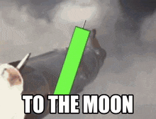 a dog is holding a green candle and says to the moon