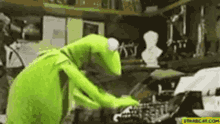 Kermit The Frog GIF - Kermit The Frog GIFs