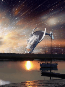 Bitcoin Whale GIF - Bitcoin Whale GIFs