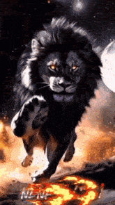 a black lion is jumping through the air in front of a full moon .